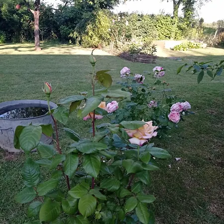 D'hotes A La Campagne Pensjonat Gapree