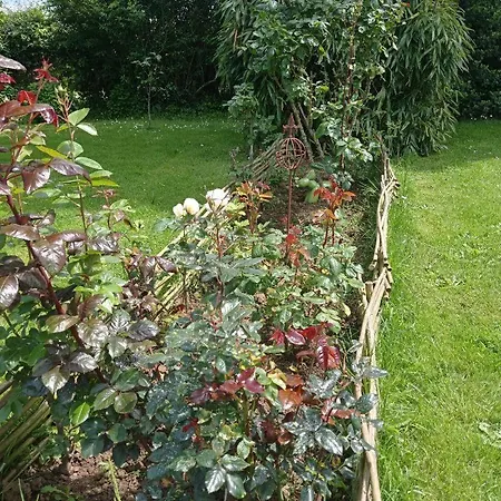 D'hotes A La Campagne